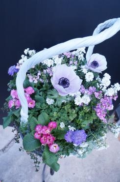 dsc00096