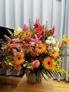 小学校へお届けしました「まいた花藤」（神奈川県横浜市南区の花屋）のギャラリー写真
